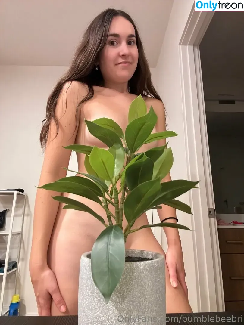 bumblebeebri nude photo #0221 (bumblebeebri1)
