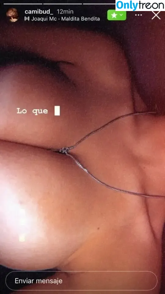 Camila Budniewski nude photo #0001 (budcamila_)