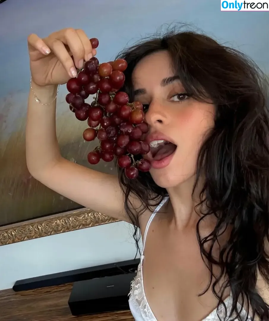 Camila Cabello nude photo #4782 (Camila_Cabello / iamgabrielaung)