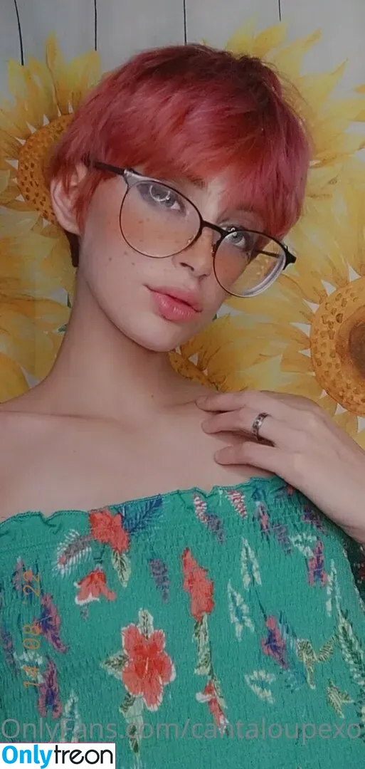 cantaloupexo nude photo #0001 (cantaloupe.inc)