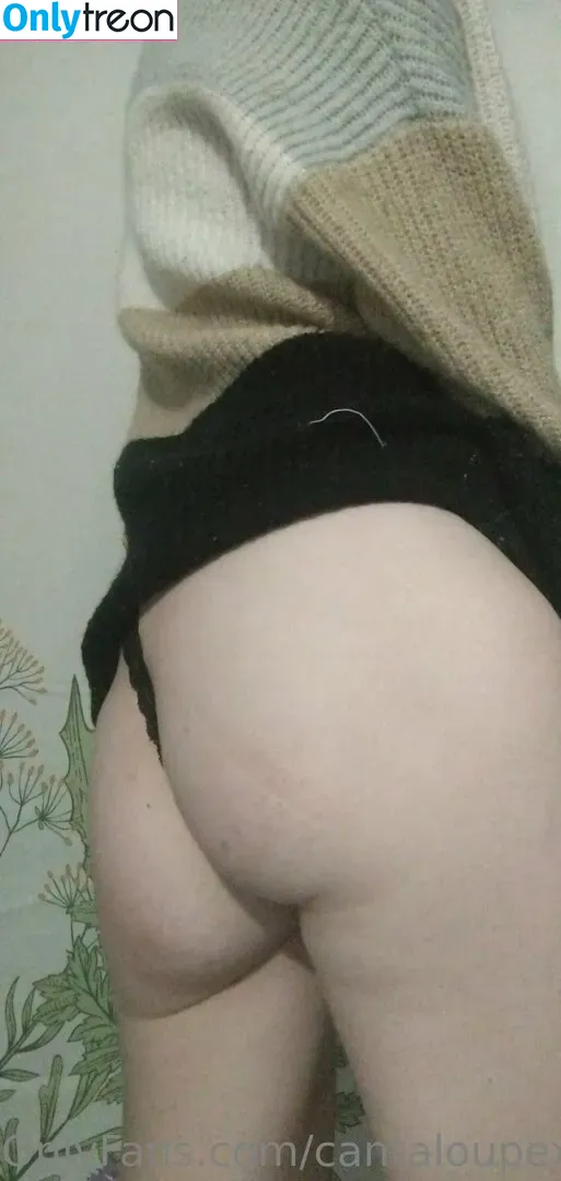 cantaloupexo nude photo #0034 (cantaloupe.inc)