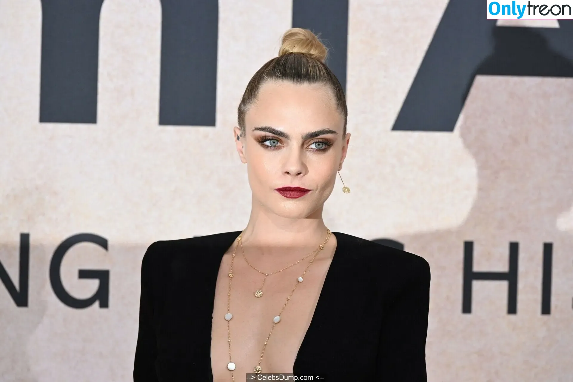 Cara Delevingne nude photo #0511 (caradelevingne)
