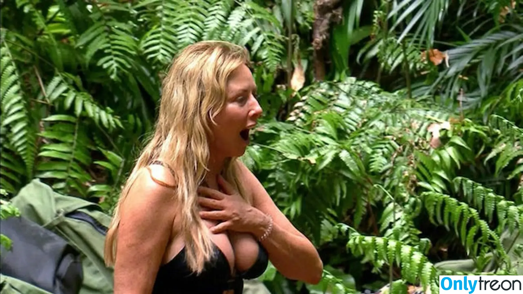 Carol Vorderman nude photo #0579 (carolvorders)