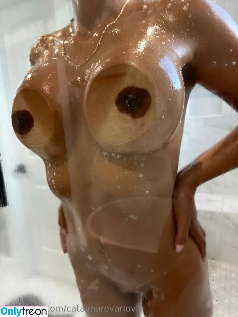 catalinarovariovip nude photo #0100 (catalinarobayo)