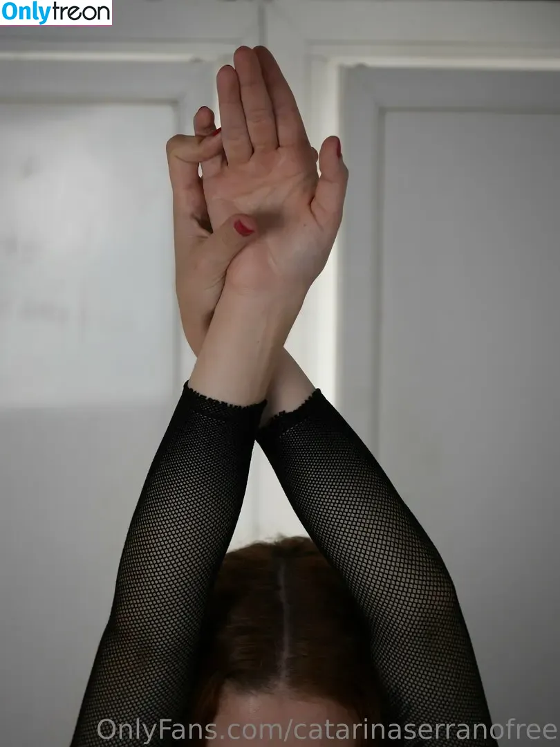 catarinaserranofree nude photo #0014 (catarinaserrano)