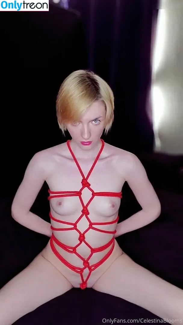 Celestina Blooms nude photo #0225 (celestinablooms / celestinarooftop)