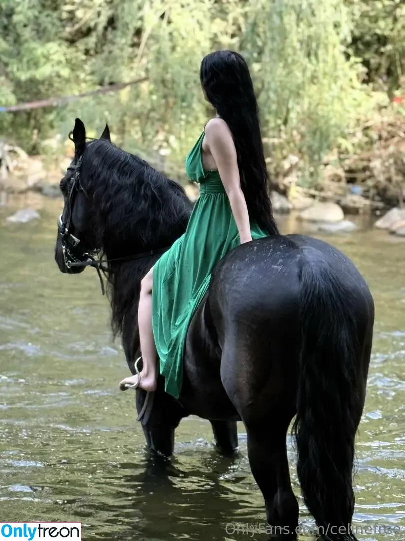 celinefree nude photo #0150 (celinefree)