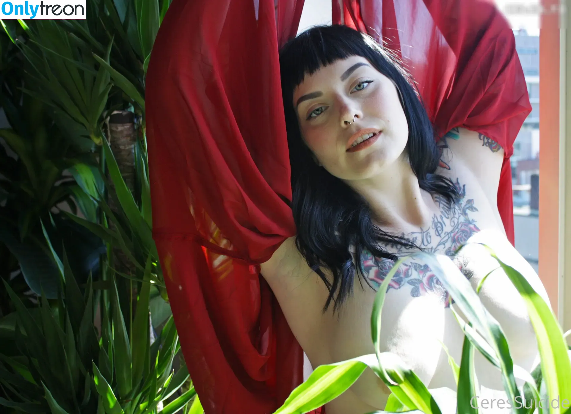 Ceres Suicide nude photo #2750 (ceres__suicide / ceressuicide)