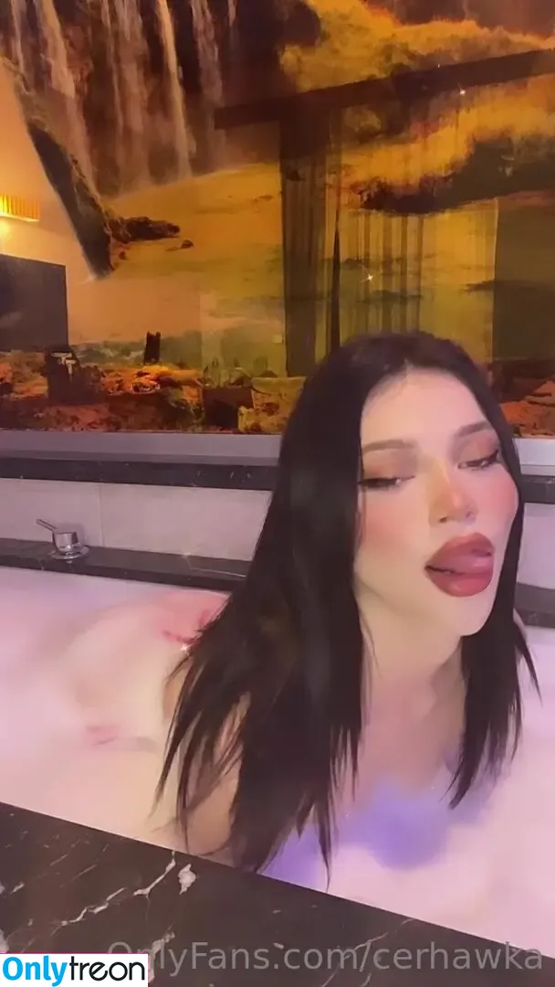 cerhawka nude photo #0021 (cerhawk1)