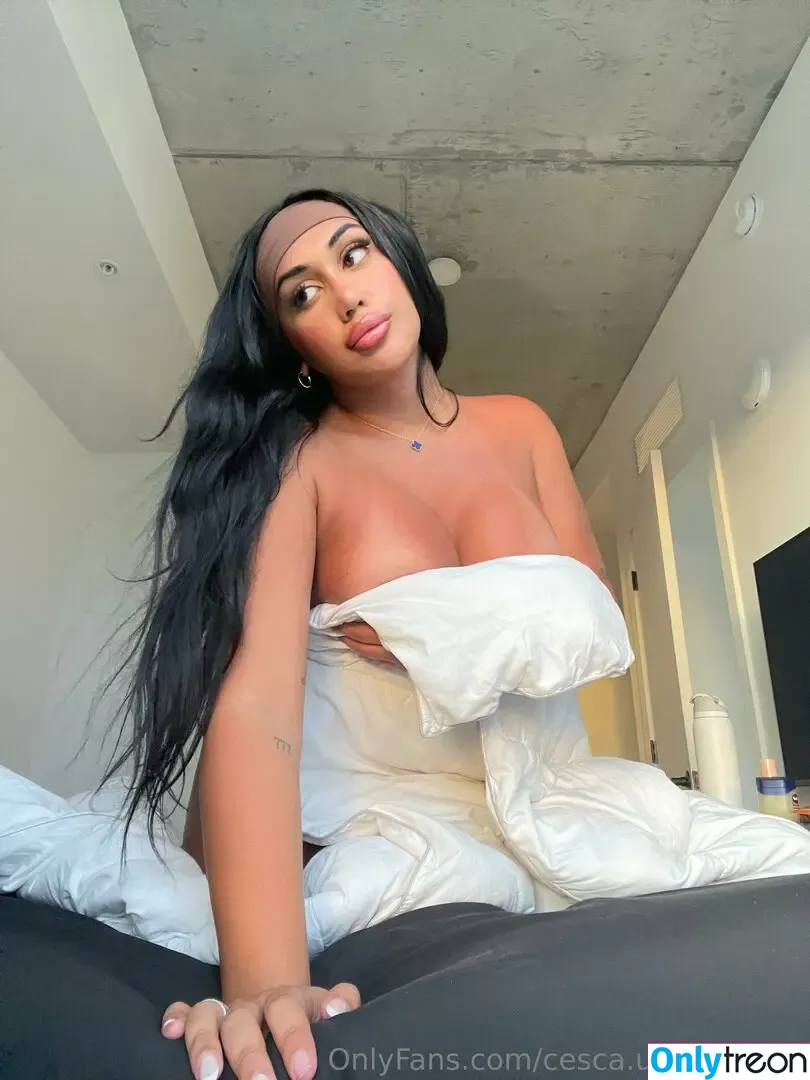 cesca.uncencored nude photo #0506 (cesccardillo / tgirljayd)