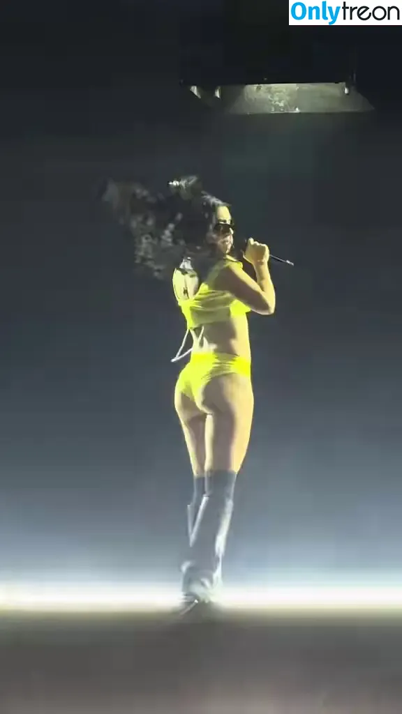 Charli XCX nude photo #3507 (charli_xcx / charlignarly)