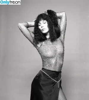 Cher nude photo #0040