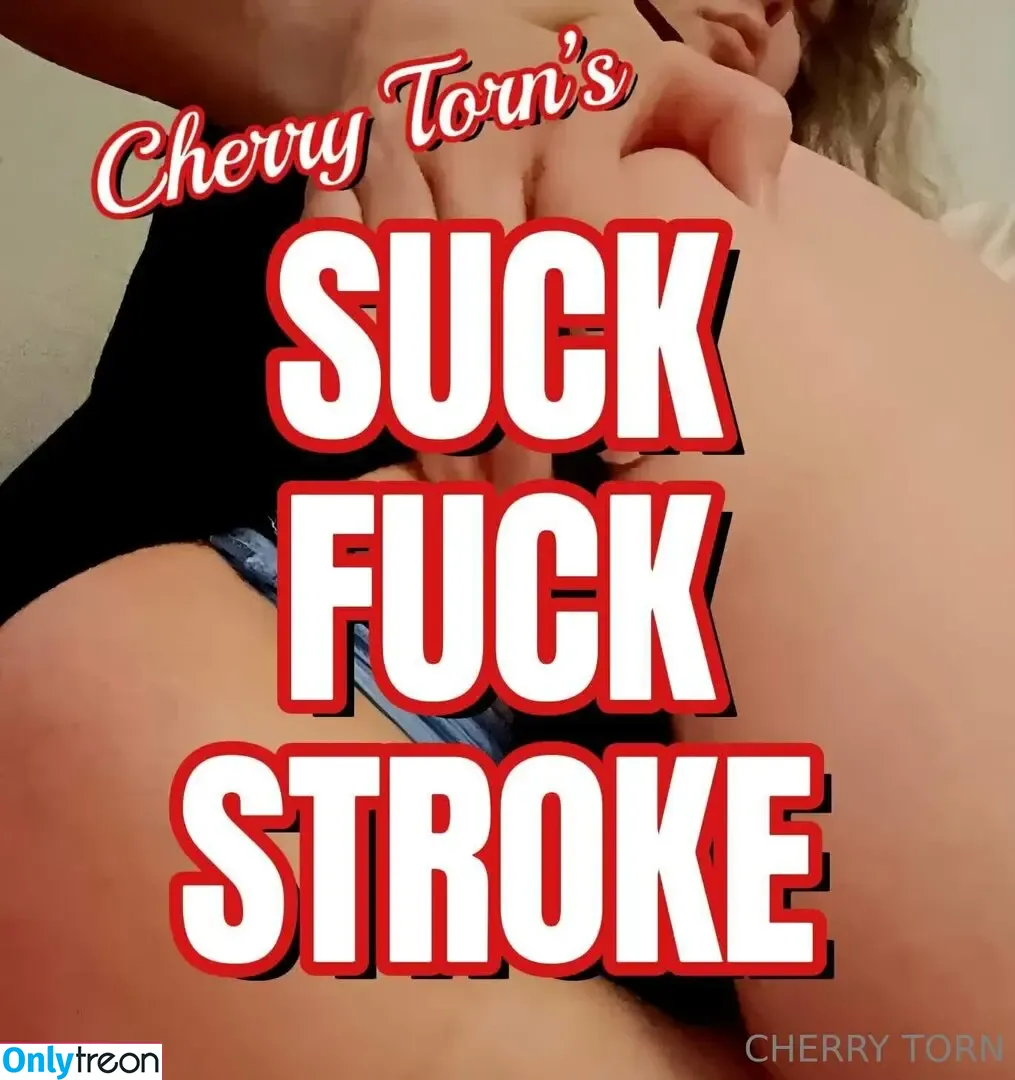 cherrytorn nude photo #0183 (cherry_torn)