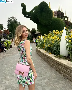 Chiara Ferragni / chiaraferragni / chiaraferragniof nude photo #0482