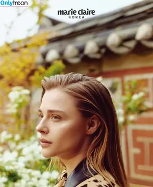 Chloë Grace Moretz / chloegmoretz nude photo #0826