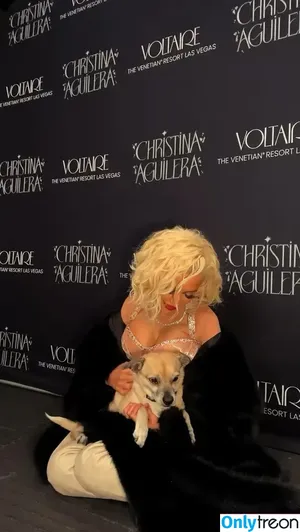 Christina Aguilera / XTINA nude photo #2059