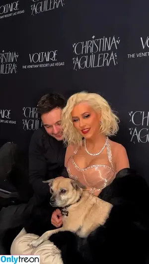Christina Aguilera / XTINA nude photo #2064