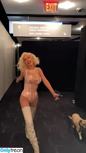 Christina Aguilera / XTINA nude photo #2066