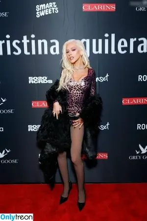 Christina Aguilera / XTINA nude photo #2219