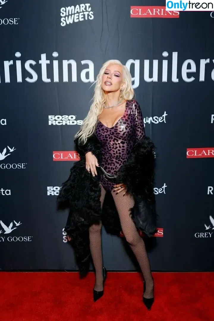 Christina Aguilera nude photo #2214 (XTINA)