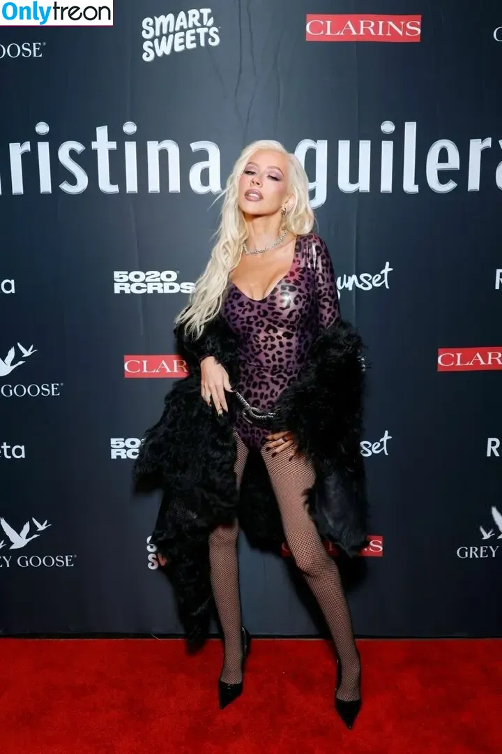 Christina Aguilera nude photo #2242 (XTINA)