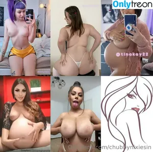 chubbynixiesin / chubbyninked nude photo #0240