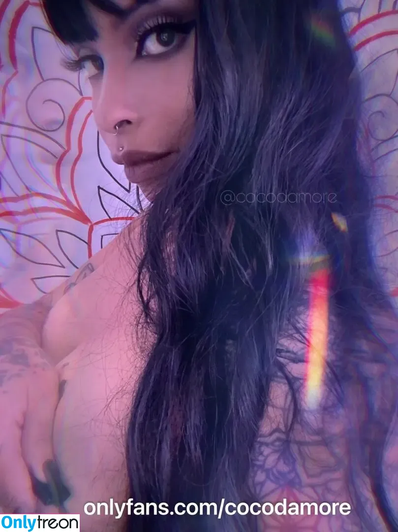 Cocodamore nude photo #0070 (Coco-Damore / Cocodamorex)