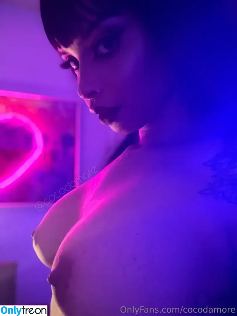 Cocodamore nude photo #0178 (Coco-Damore / Cocodamorex)