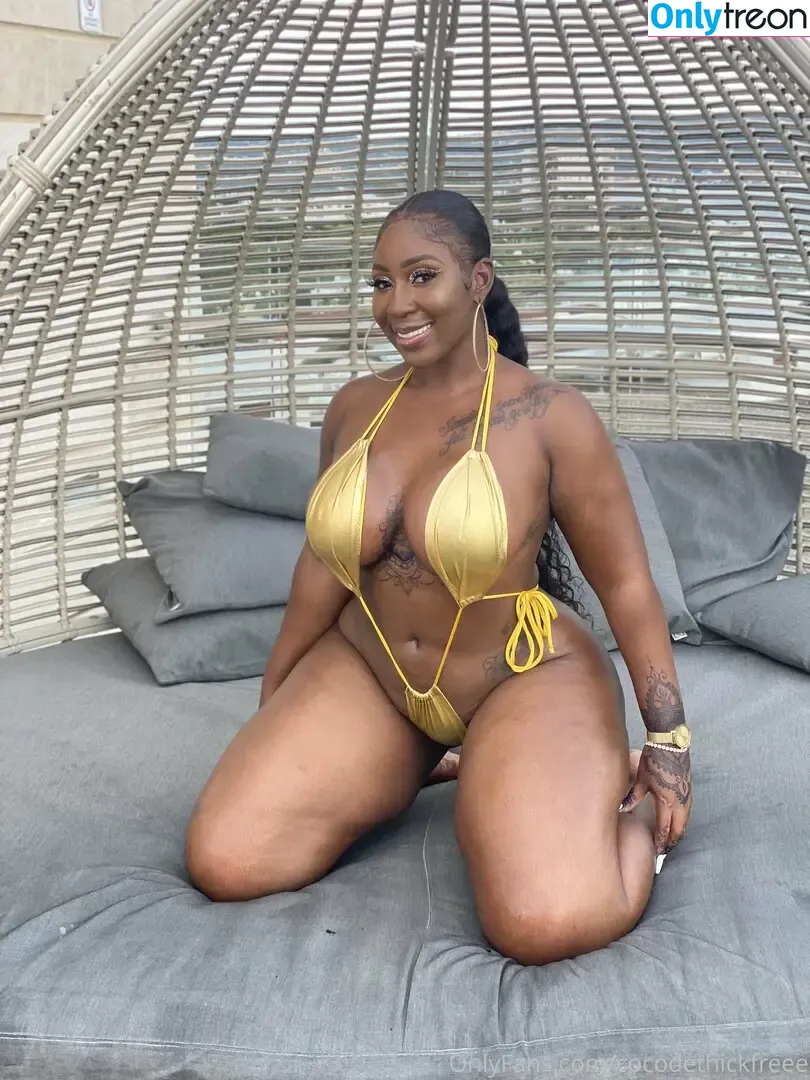 cocodethickfreee nude photo #0025 (ky_baackk)