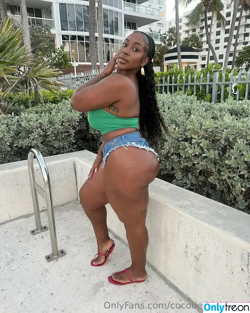 cocodethickfreee nude photo #0047 (ky_baackk)