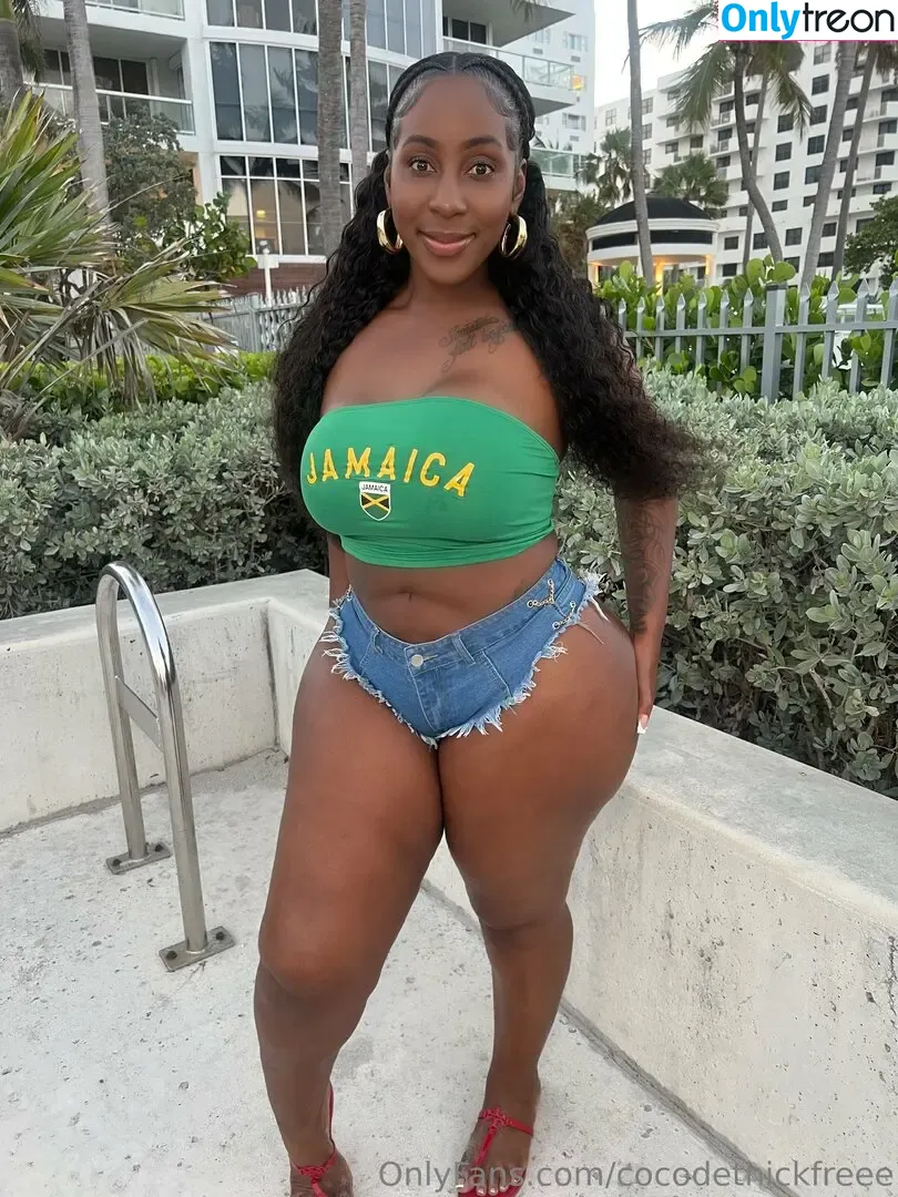 cocodethickfreee nude photo #0048 (ky_baackk)