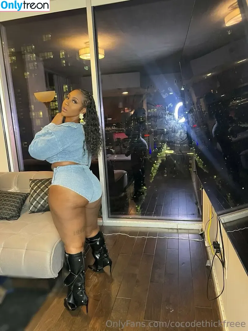 cocodethickfreee nude photo #0057 (ky_baackk)