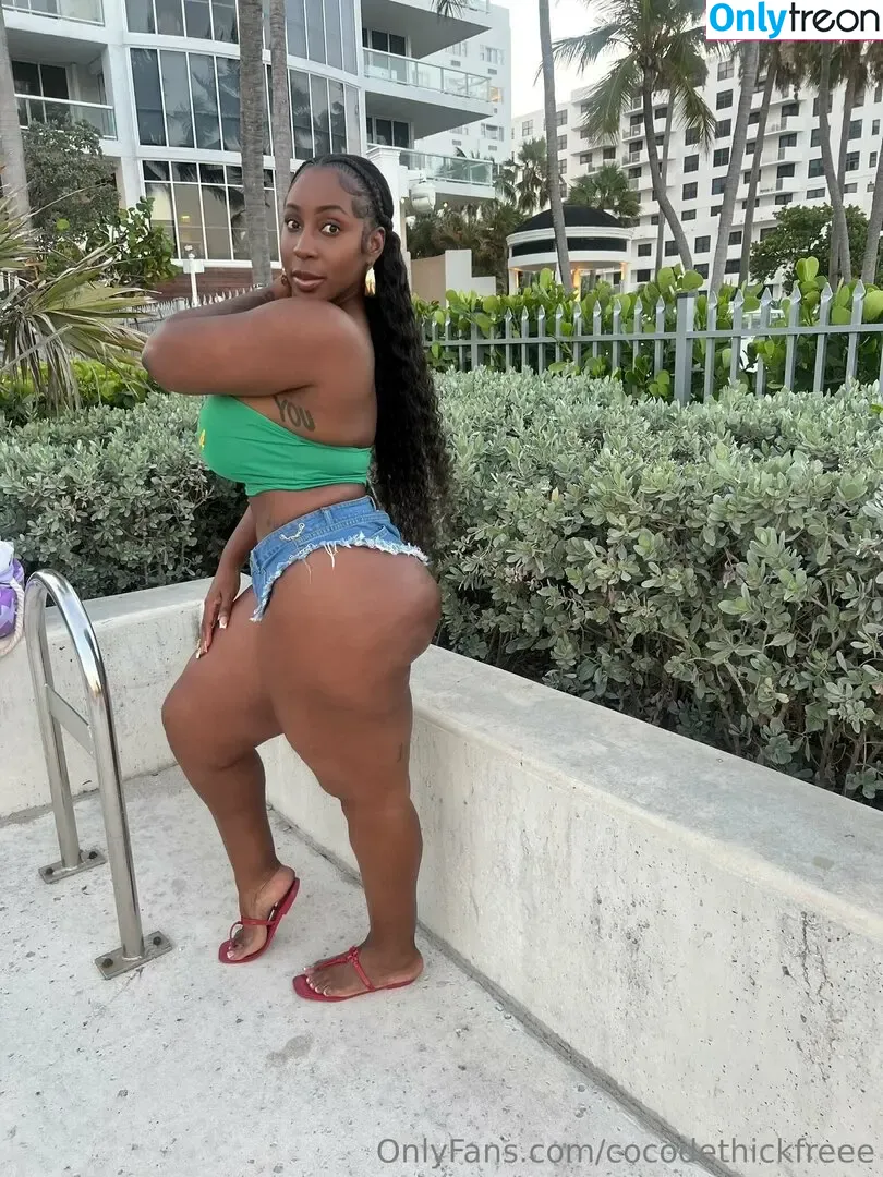 cocodethickfreee nude photo #0060 (ky_baackk)