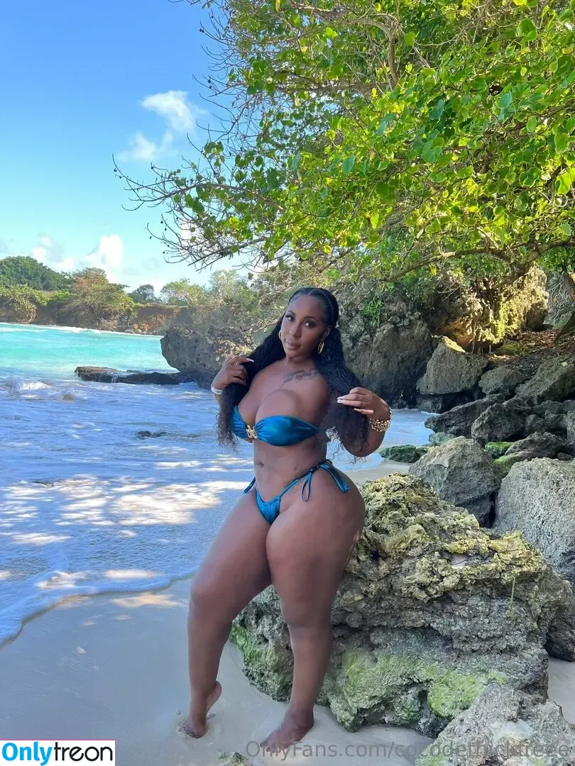 cocodethickfreee nude photo #0071 (ky_baackk)