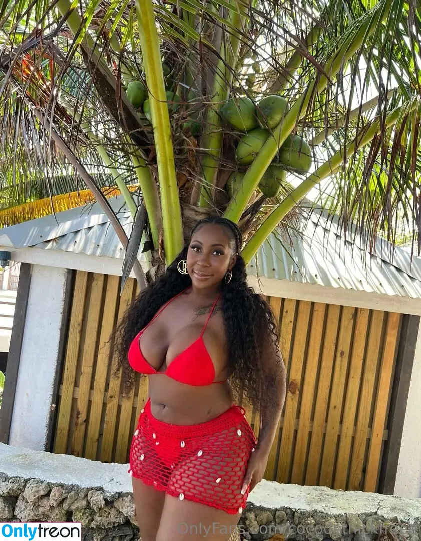 cocodethickfreee nude photo #0073 (ky_baackk)