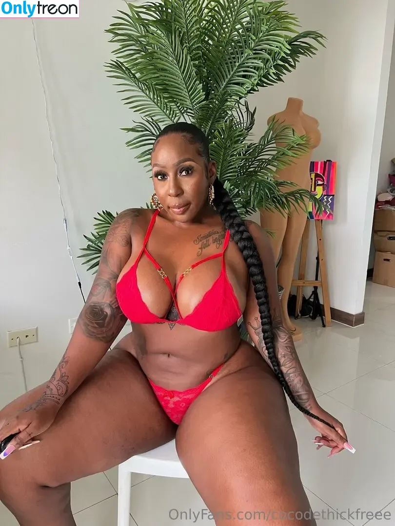 cocodethickfreee nude photo #0077 (ky_baackk)