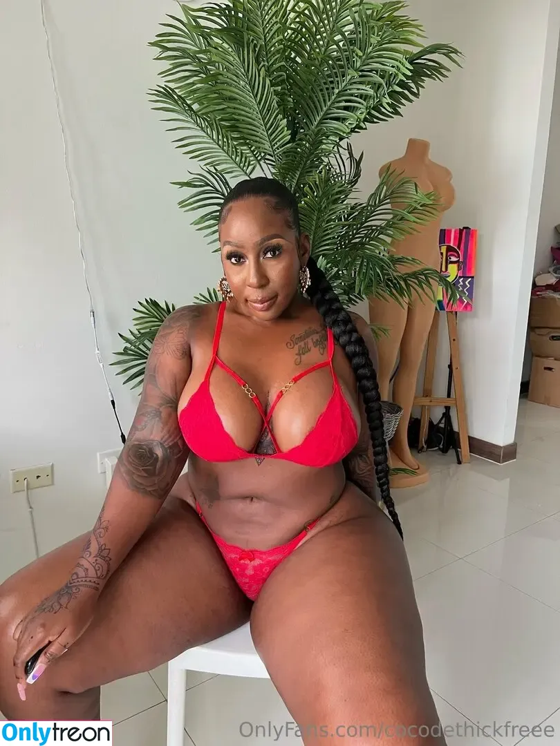 cocodethickfreee nude photo #0078 (ky_baackk)