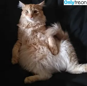 CoinLaundryLoser / coinlaundrycam nude photo #0008