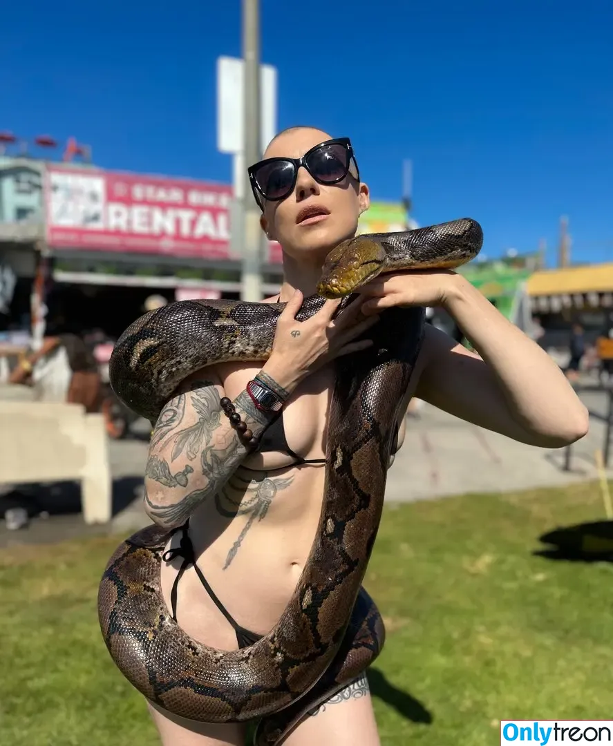 Comicbookgirl19 nude photo #0936 (DanikaXIX / pirateflagnislandgirl)