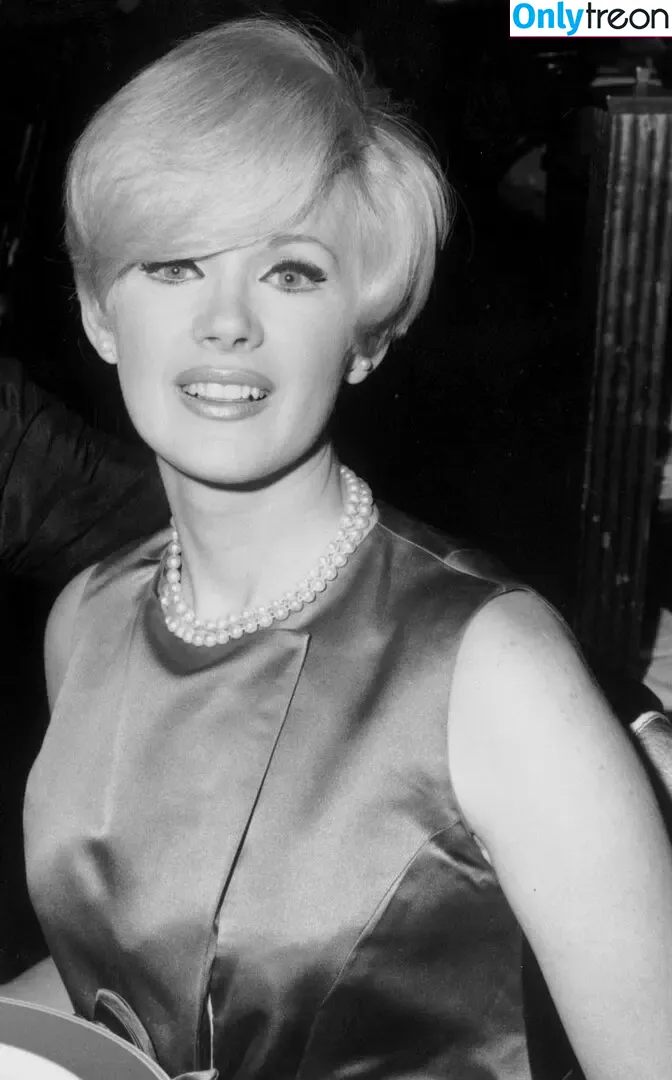 Connie Stevens nude photo #0010 (theconniestevens)