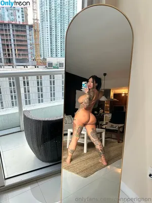 connperignon / notconnieperignon nude photo #0225