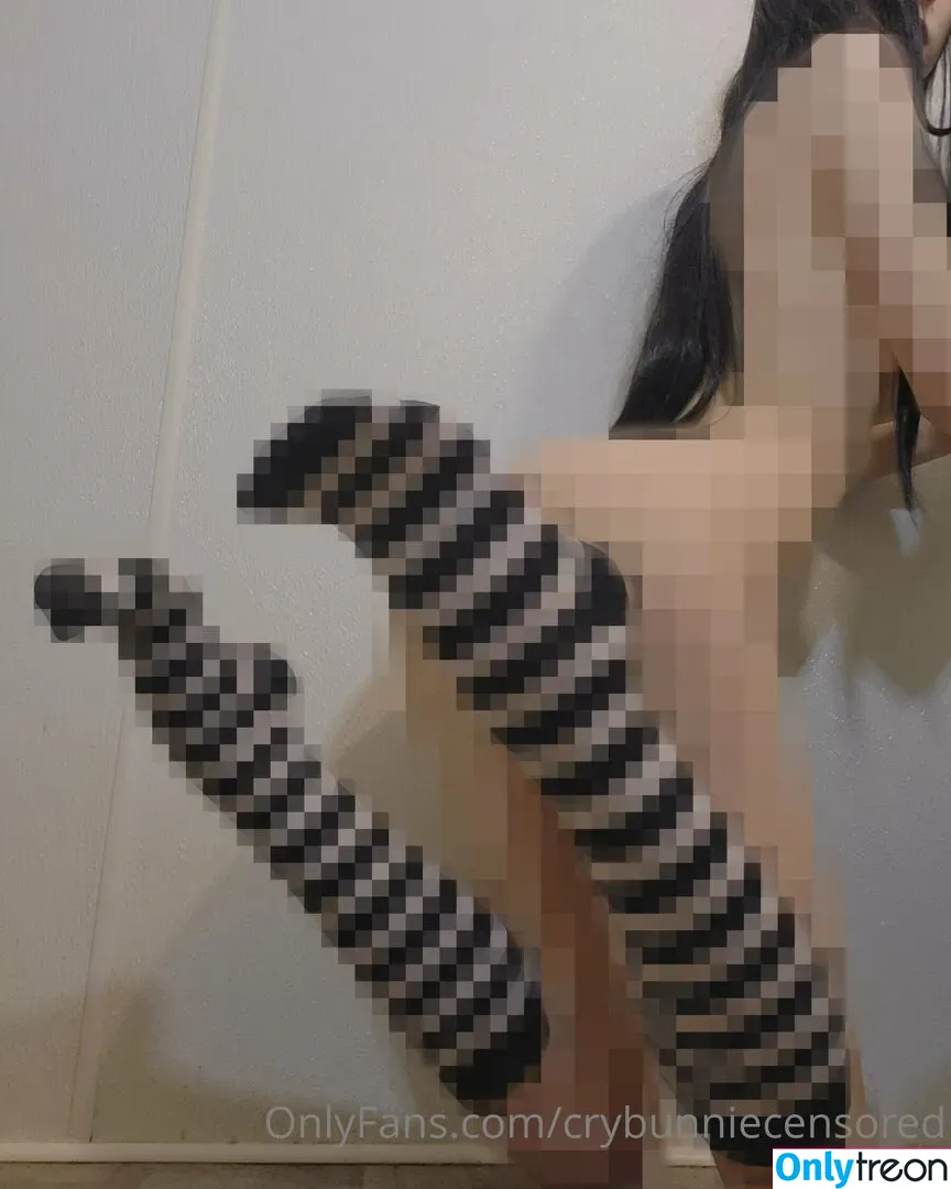crybunniecensored nude photo #0041 (crybunnie / crybunniex)
