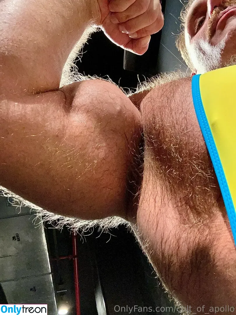 cult_of_apollo nude photo #0056 (cult_of_apollo)