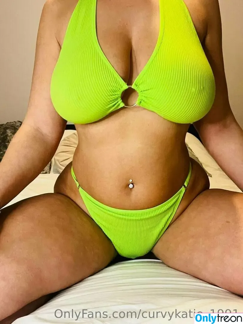 curvykatie_1991 nude photo #0491 (curvykatie91)