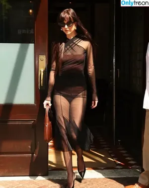 Dakota Johnson / dakotajohnson / isDakotaJohnson nude photo #1430