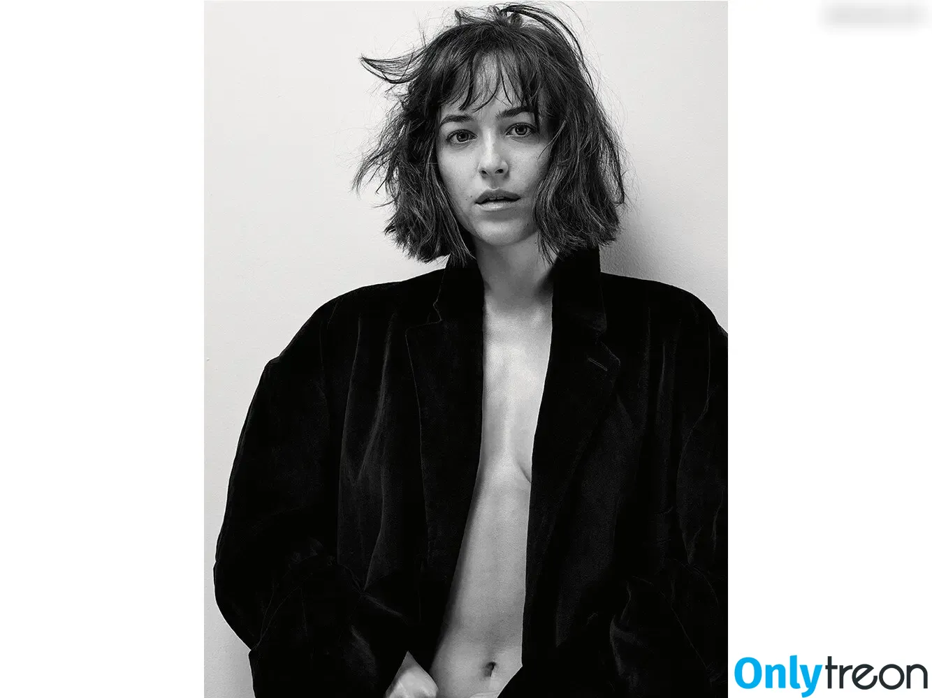 Dakota Johnson nude photo #1078 (dakotajohnson / isDakotaJohnson)