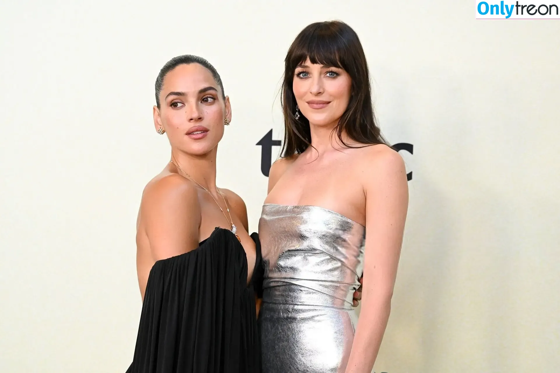 Dakota Johnson nude photo #1611 (dakotajohnson / isDakotaJohnson)