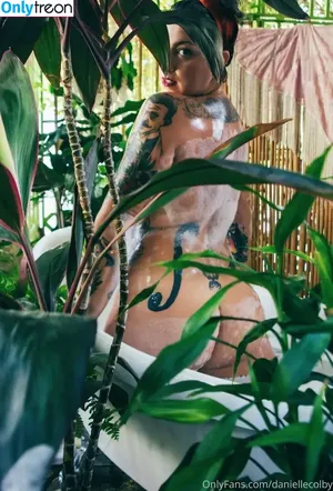 Danielle Colby / DanielleColby / daniellecolbyamericanpicker nude photo #0363