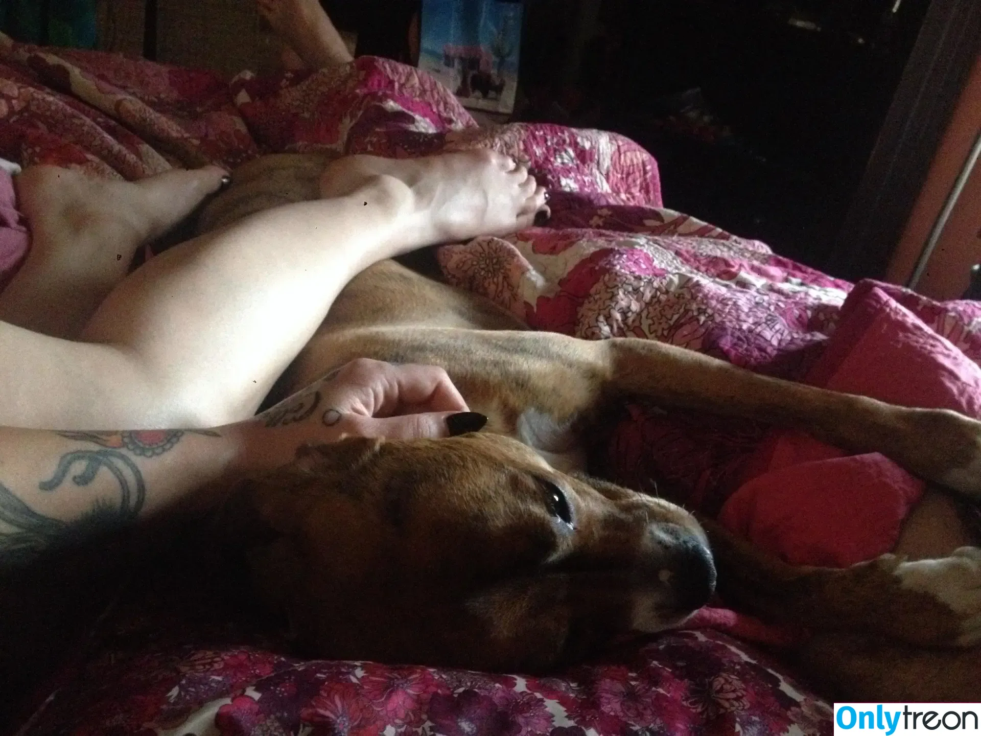 Danielle Colby nude photo #0262 (DanielleColby / daniellecolbyamericanpicker)