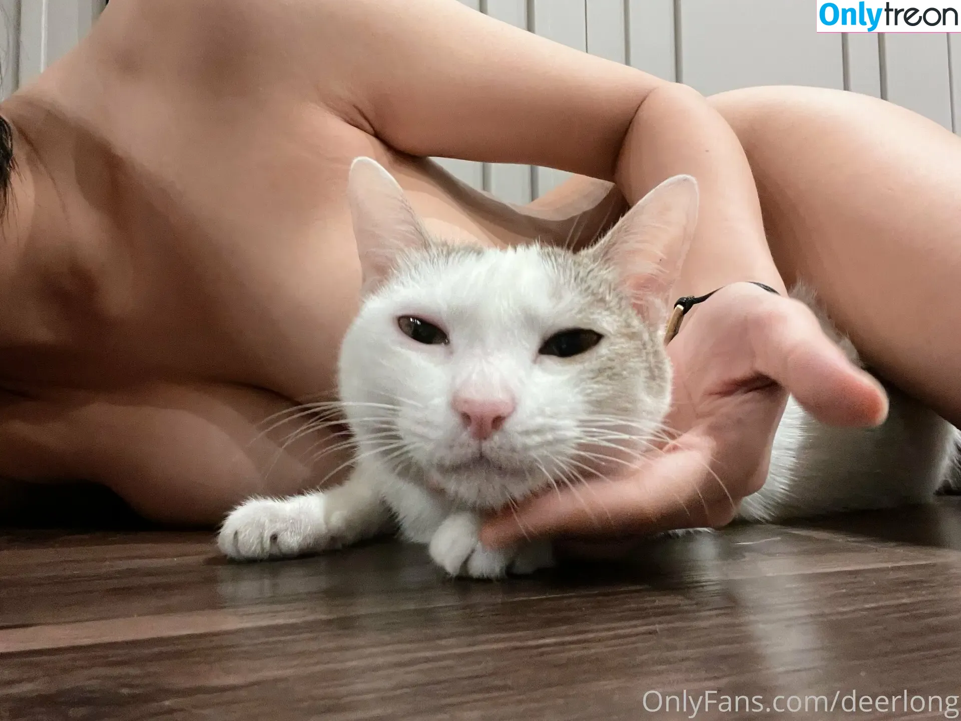 Deerlong nude photo #0225 (arisahomgroon)